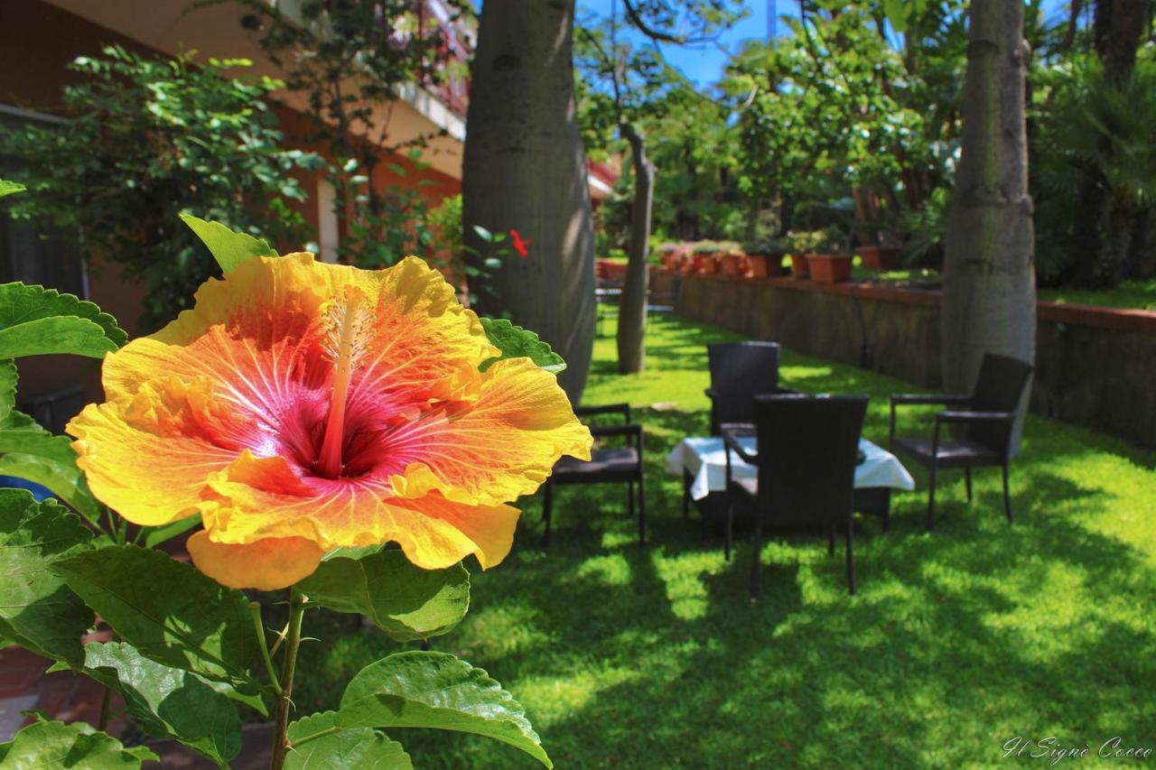 Il Signo Cocco Mare Apartment Taormina Ngoại thất bức ảnh